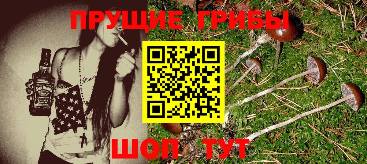 Трёхгорный  Псилоцибиновые грибы GOLDEN TEACHER  Вход с VPN 